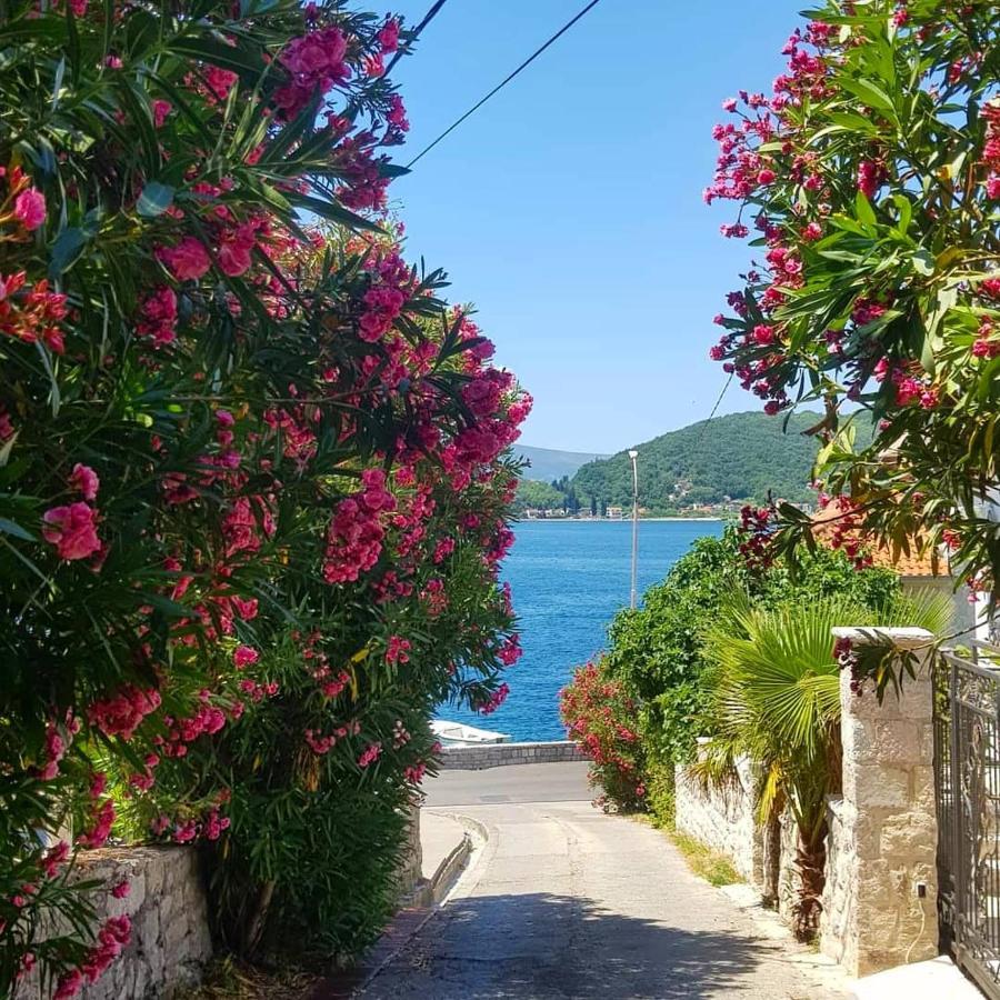 Apartments Todorovic Tivat Ngoại thất bức ảnh